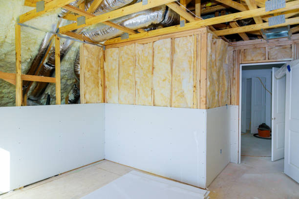 Insulation Replacement Services in Springville, IA