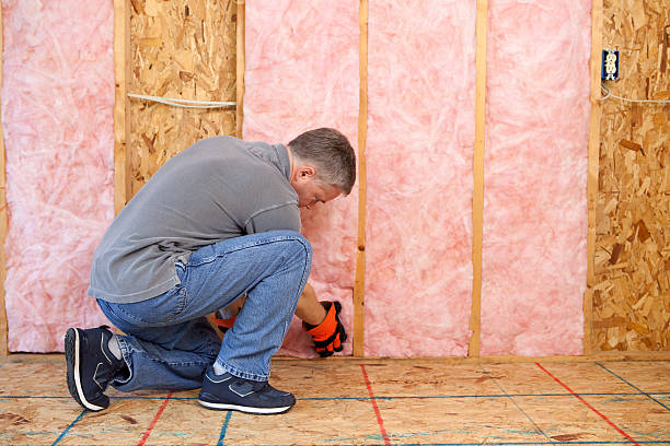 Best Attic Insulation Installation  in Springville, IA